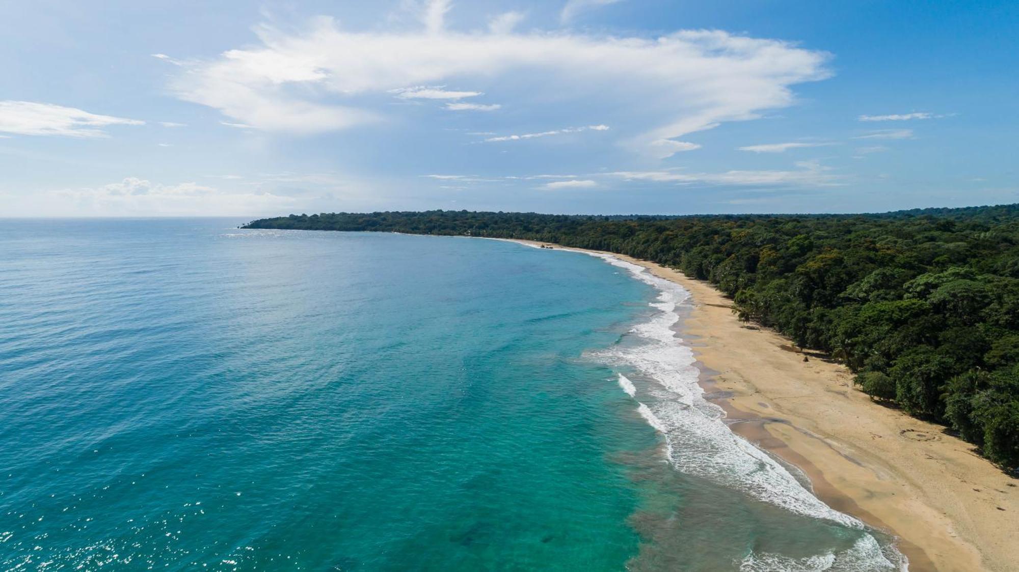 Almonds & Corals Boutique Hotel Puerto Viejo de Talamanca Εξωτερικό φωτογραφία